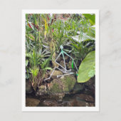 Orchid Room Strichmännchen 1 | Phipps Conservatory Postkarte (Vorderseite)