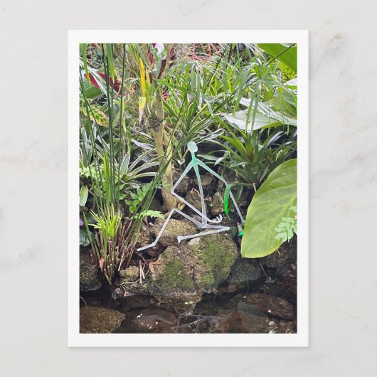 Orchid Room Strichmännchen 1 | Phipps Conservatory Postkarte (Vorderseite)