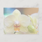 Orchid ・ Save the Date Karte (Rückseite)