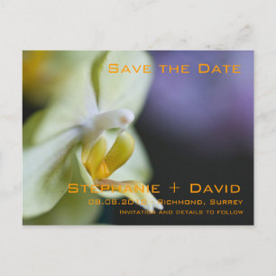 Orchid Save the Date Postkarte