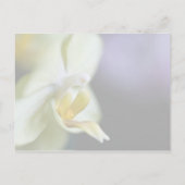 Orchid Save the Date Postkarte (Rückseite)
