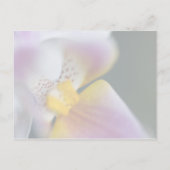 Orchid Save the Date Postkarte (Rückseite)