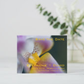 Orchid Save the Date Postkarte (Stehend Vorderseite)