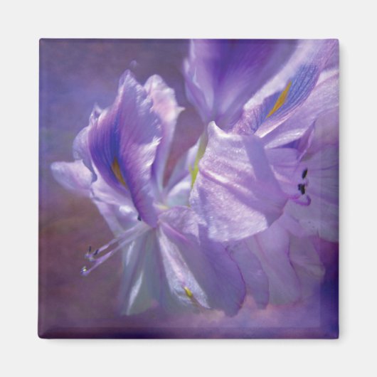 Orchid Sky Art Magnet (Vorne)