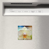 Orchid ・ Speichern des Datumsfensters Magnet (In Situ (Geschirrspüler))