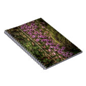 Orchid Spiral Photo Notebook Notizblock (Rechte Seite)