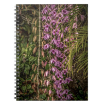 Orchid Spiral Photo Notebook