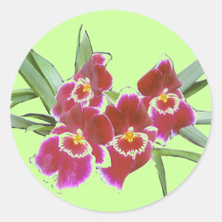 Orchid Spray Sticker Siegel