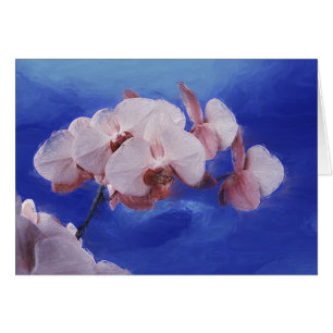 Orchid Spring