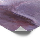 Orchid Spring Poster (Ecke)