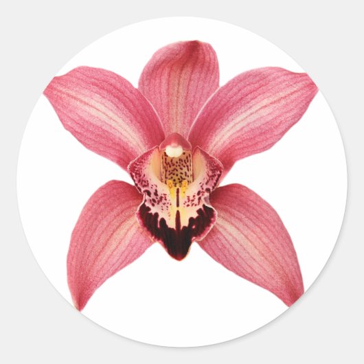 Orchid Stickers (Vorderseite)