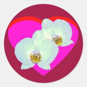 Orchid The MUSEUM Zazzle gibt Zürcher 2000 Runder Aufkleber