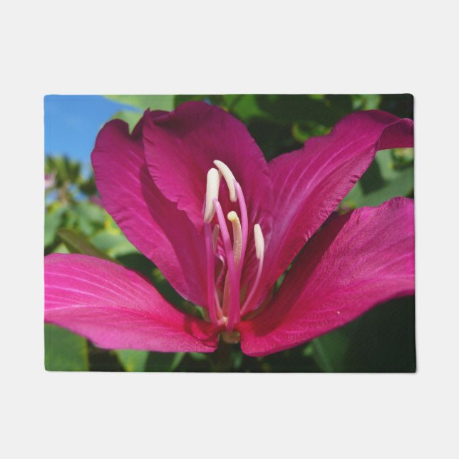 Orchid Tree Blossom Tropical Floral Fußmatte (Vorderseite)