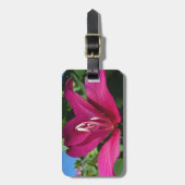 Orchid Tree Blossom Tropical Floral Gepäckanhänger (Vorderseite vertikal)