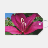 Orchid Tree Blossom Tropical Floral Geschenkanhänger (Vorderseite (Horizontal))