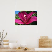Orchid Tree Blossom Tropical Floral Poster (Küche)
