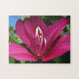 Orchid Tree Blossom Tropical Floral Puzzle