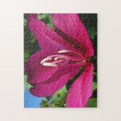 Orchid Tree Blossom Tropical Floral Puzzle (Vertikal)