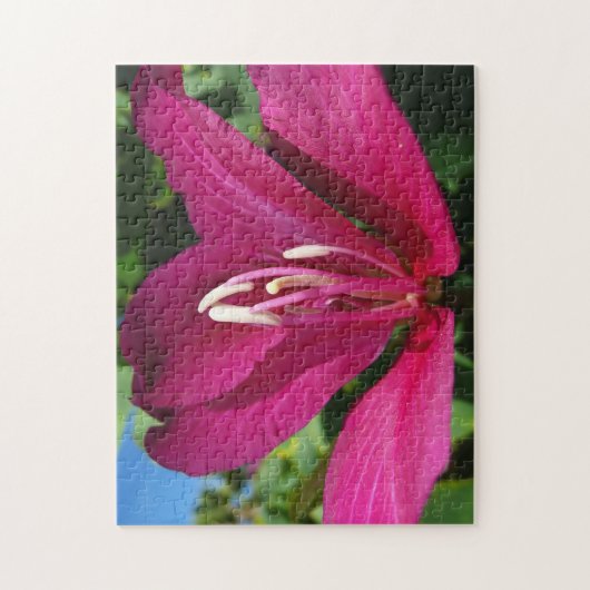 Orchid Tree Blossom Tropical Floral Puzzle (Vertikal)