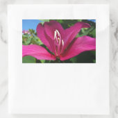 Orchid Tree Blossom Tropical Floral Rechteckiger Aufkleber (Tasche)