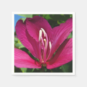 Orchid Tree Blossom Tropical Floral Serviette