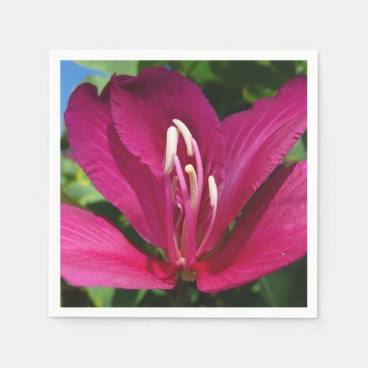 Orchid Tree Blossom Tropical Floral Serviette (Vorderseite)