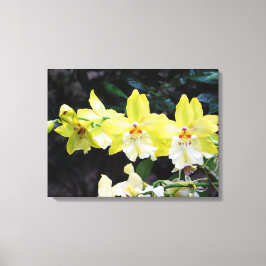 Orchid Trio Wrapped Canvas Print Leinwanddruck