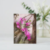 Orchid - Tropische Leidenschaft Postkarte (Stehend Vorderseite)