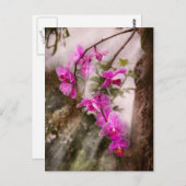 Orchid - Tropische Leidenschaft Postkarte (Vorne/Hinten)