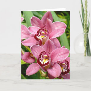 Orchid Twins Up Close Karte