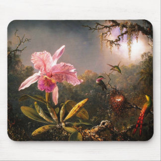 Orchid und drei brasilianische Hummingbirds Mousepad