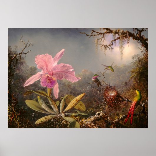 ORCHID UND DREI HUMMINGBIRDS POSTER (Vorne)