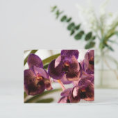 Orchid Vanda Pure's Wax Blume Group Postkarte (Stehend Vorderseite)