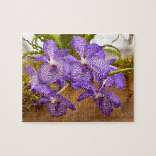 Orchid - Vanda sansai blau Puzzle