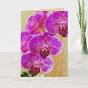 Orchid-Versprechen können personalisiert werden Feiertagskarte