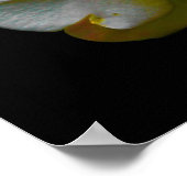 Orchid war ihr Herz Poster (Ecke)