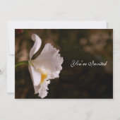 Orchid Wedding Einladung (Vorderseite)