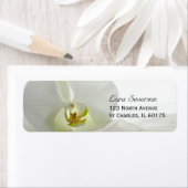 Orchid White and Bridal Veil Wedding Address (Insitu)