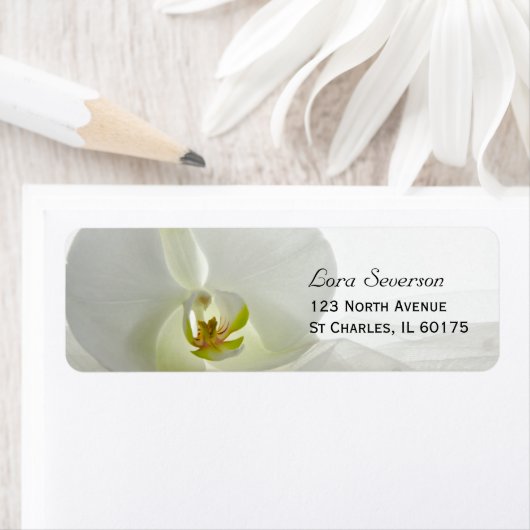 Orchid White and Bridal Veil Wedding Address (Insitu)