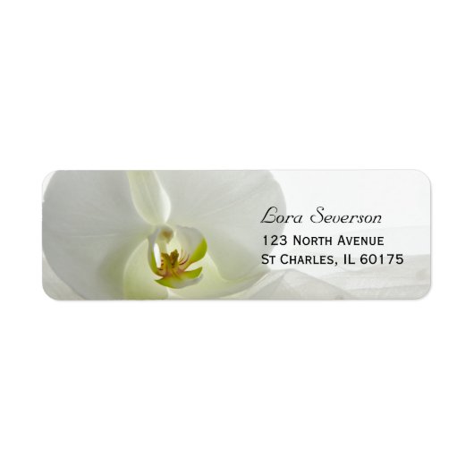 Orchid White and Bridal Veil Wedding Address (Vorne)