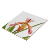 Orchid - Wird der Slipper passen Fliese (Seite)