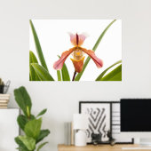 Orchid - Wird der Slipper passen Poster (Heimbüro)