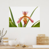 Orchid - Wird der Slipper passen Poster (Küche)
