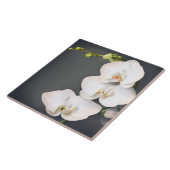 Orchidaceae (weiße Orchideen Fliese (Seite)