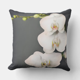 Orchidaceae (weiße Orchideen) Kissen