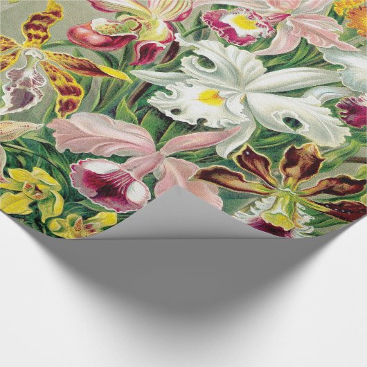 Orchidae Blumen-Verpackungs-Papier Geschenkpapier (Ecke)