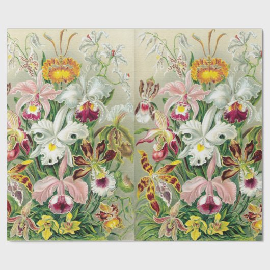 Orchidae Blumen-Verpackungs-Papier Geschenkpapier (Flach)