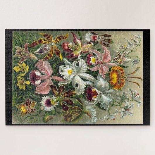 "Orchidae" von Ernst Haeckel Jigsaw Puzzle (Horizontal)