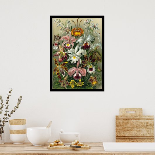 "Orchidae" von Ernst Haeckel Poster (Küche)