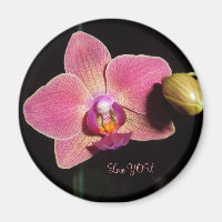 Orchide Blume von Autismus in der LIEBE